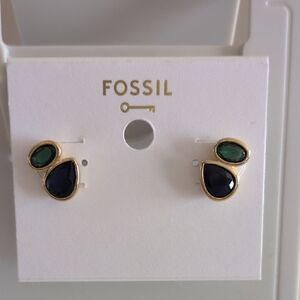 Fossil Gold and Dark Blue Earrings